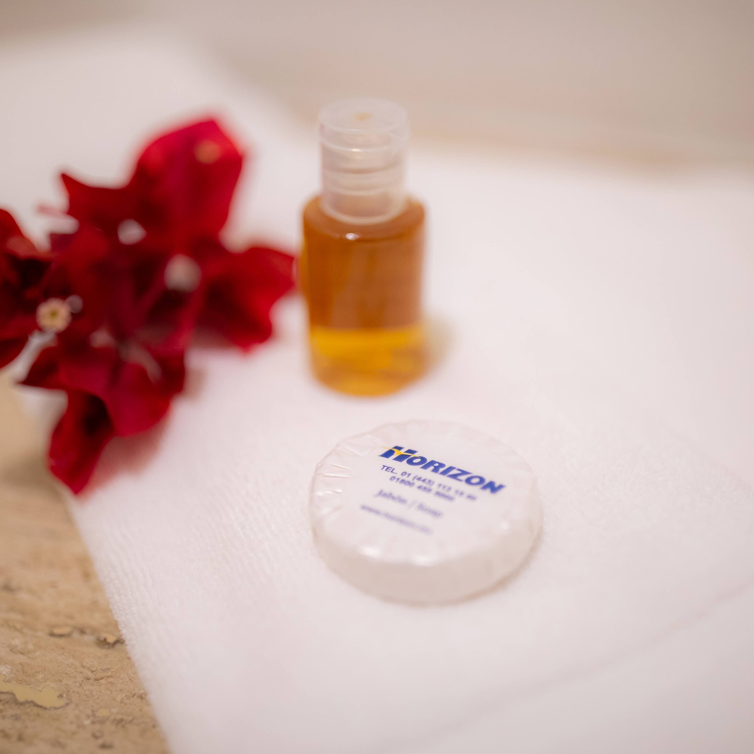 Horizon Hotel & Convention Center