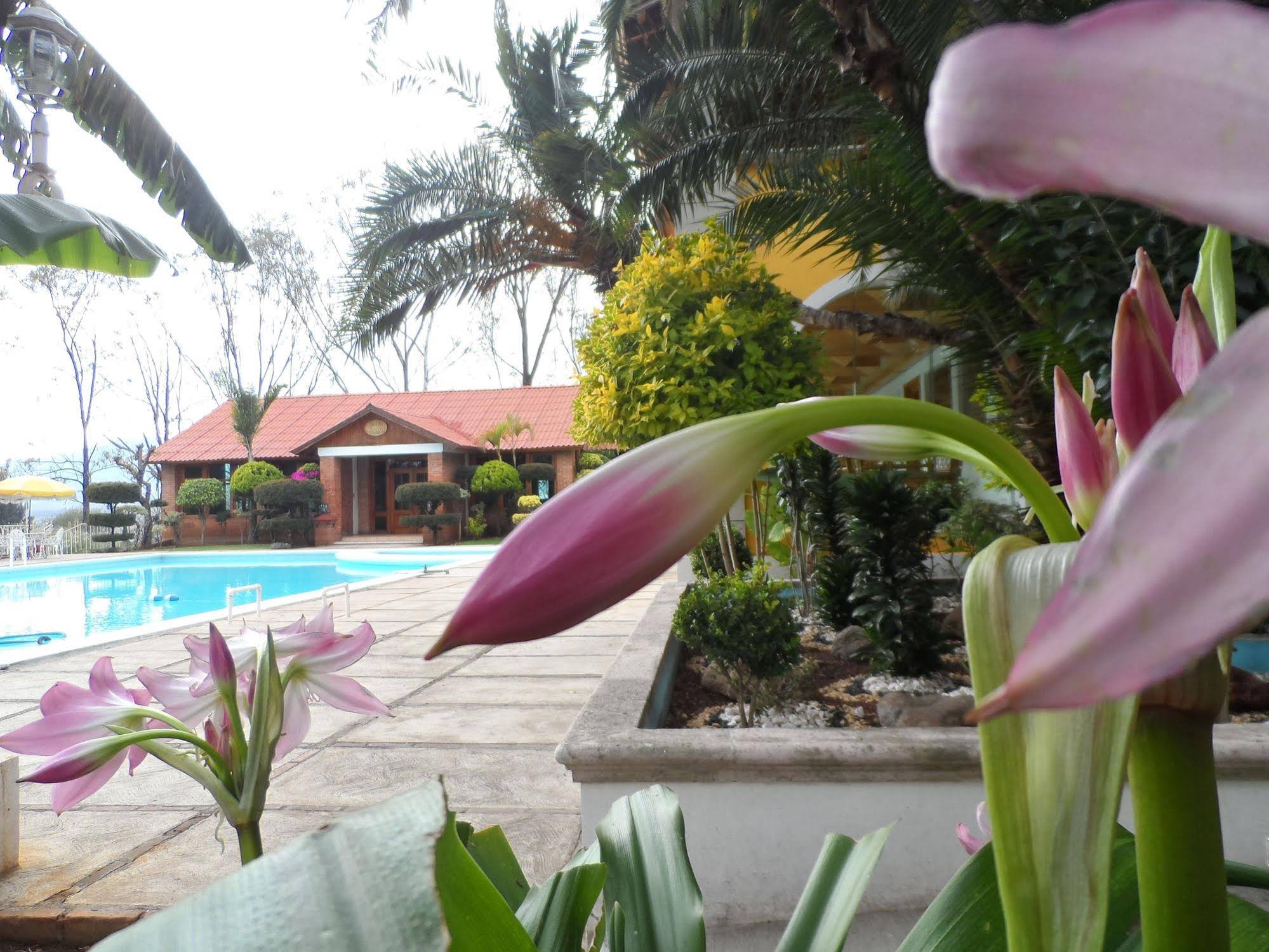 Hotel & Suites Hacienda Montesinos