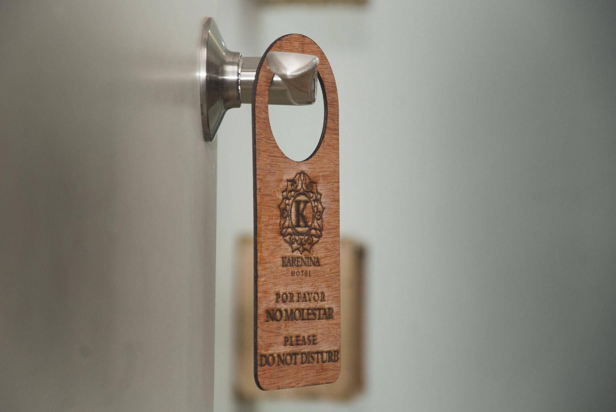 Hotel Karenina