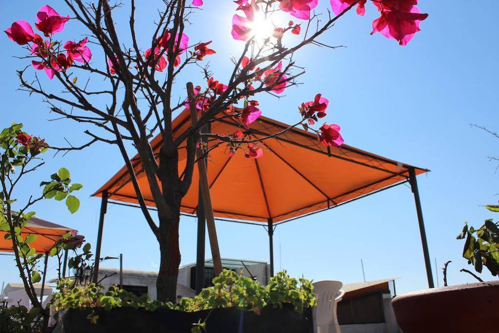 Hotel Oaxaca Mágico