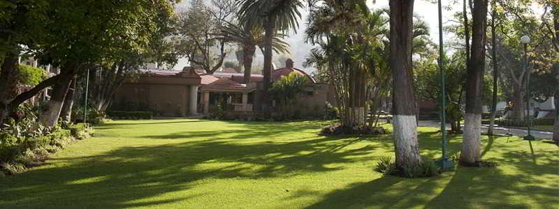 Los Olivos Spa