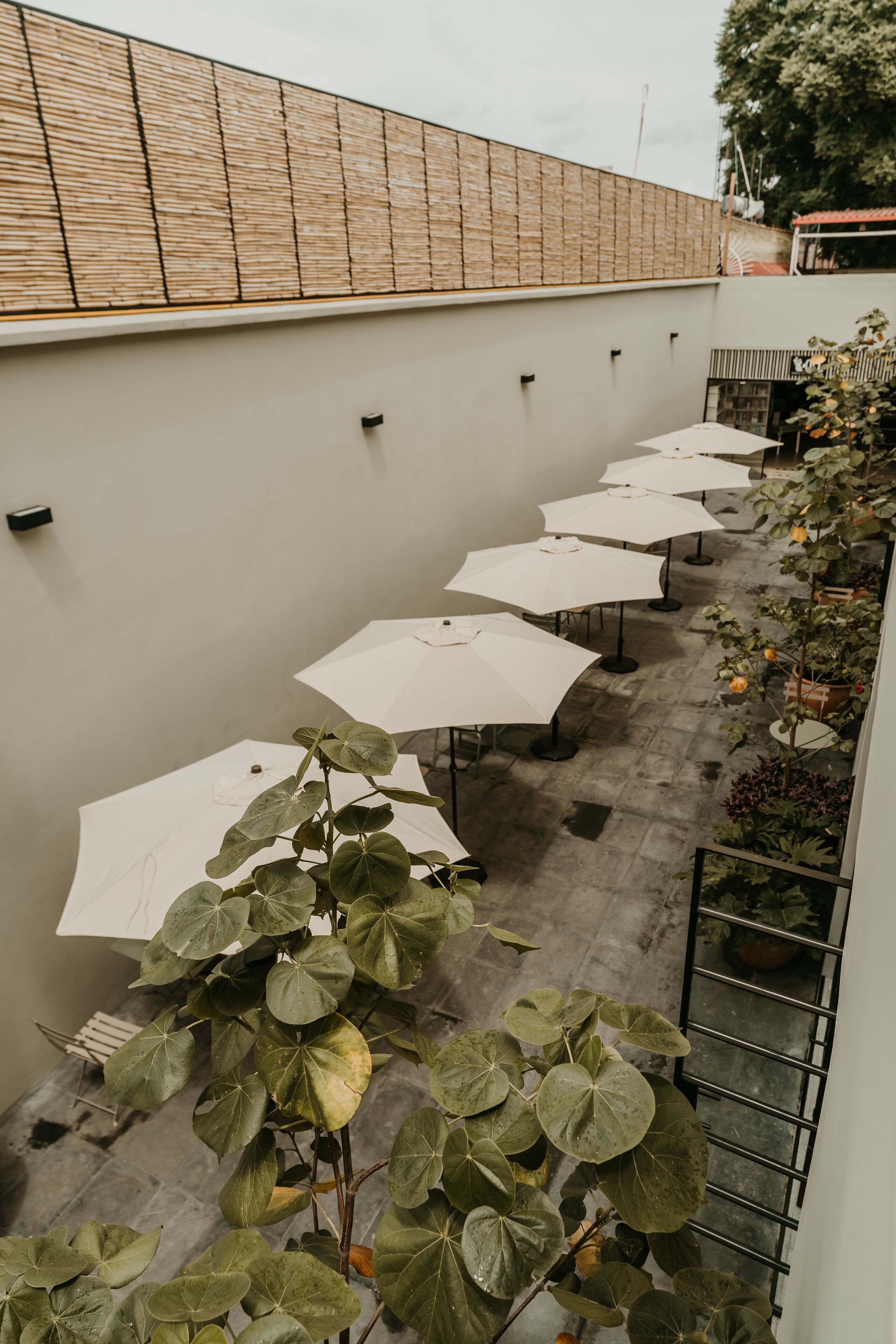 Majagua Hotel Boutique