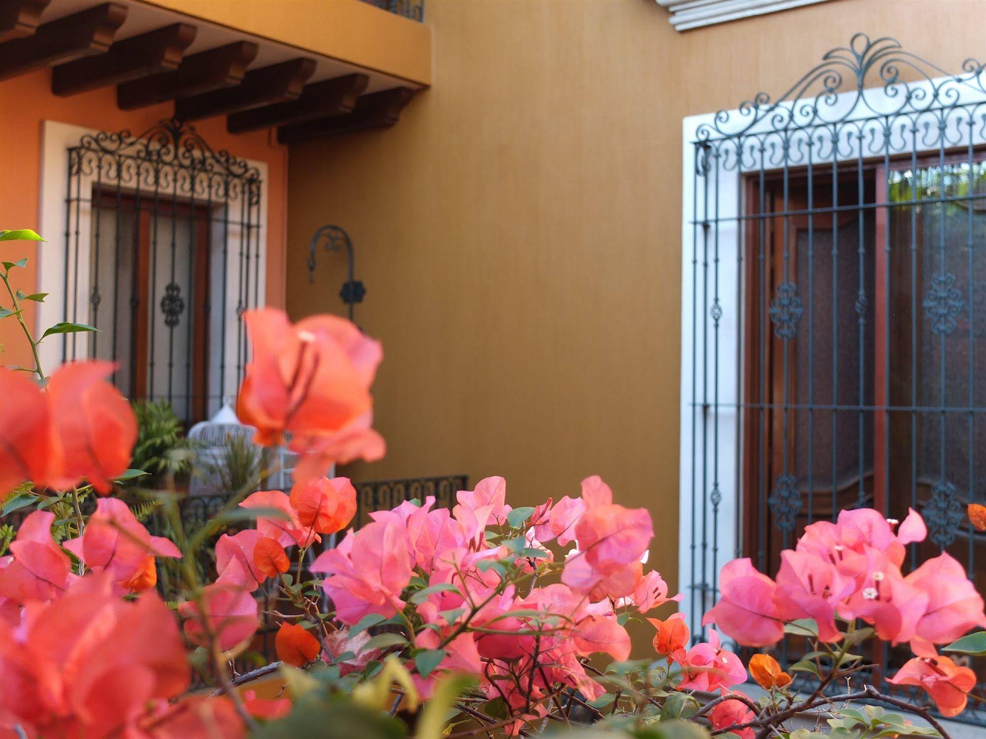 Hotel Parador San Miguel Oaxaca