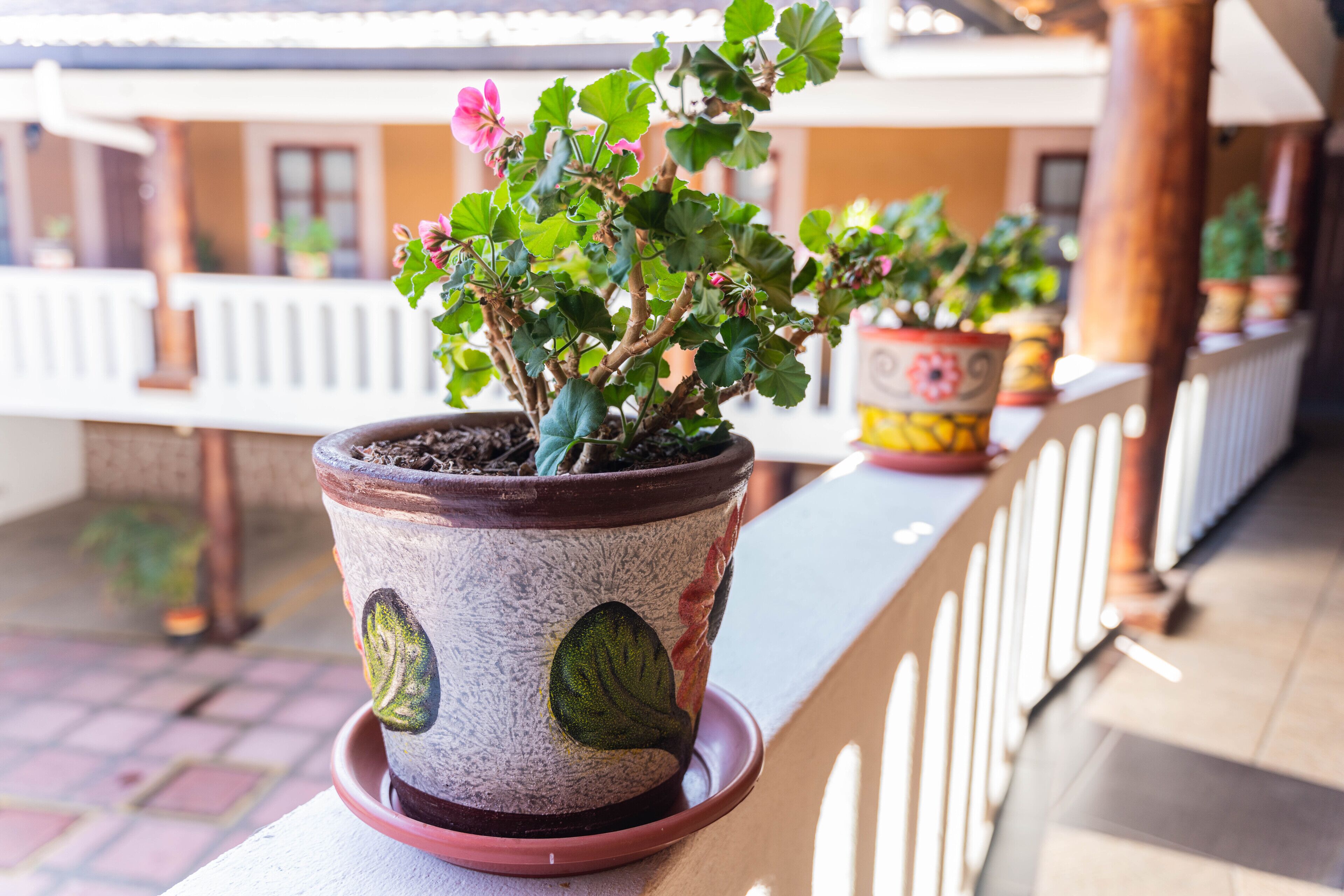 Casa Graciela Hotel Boutique