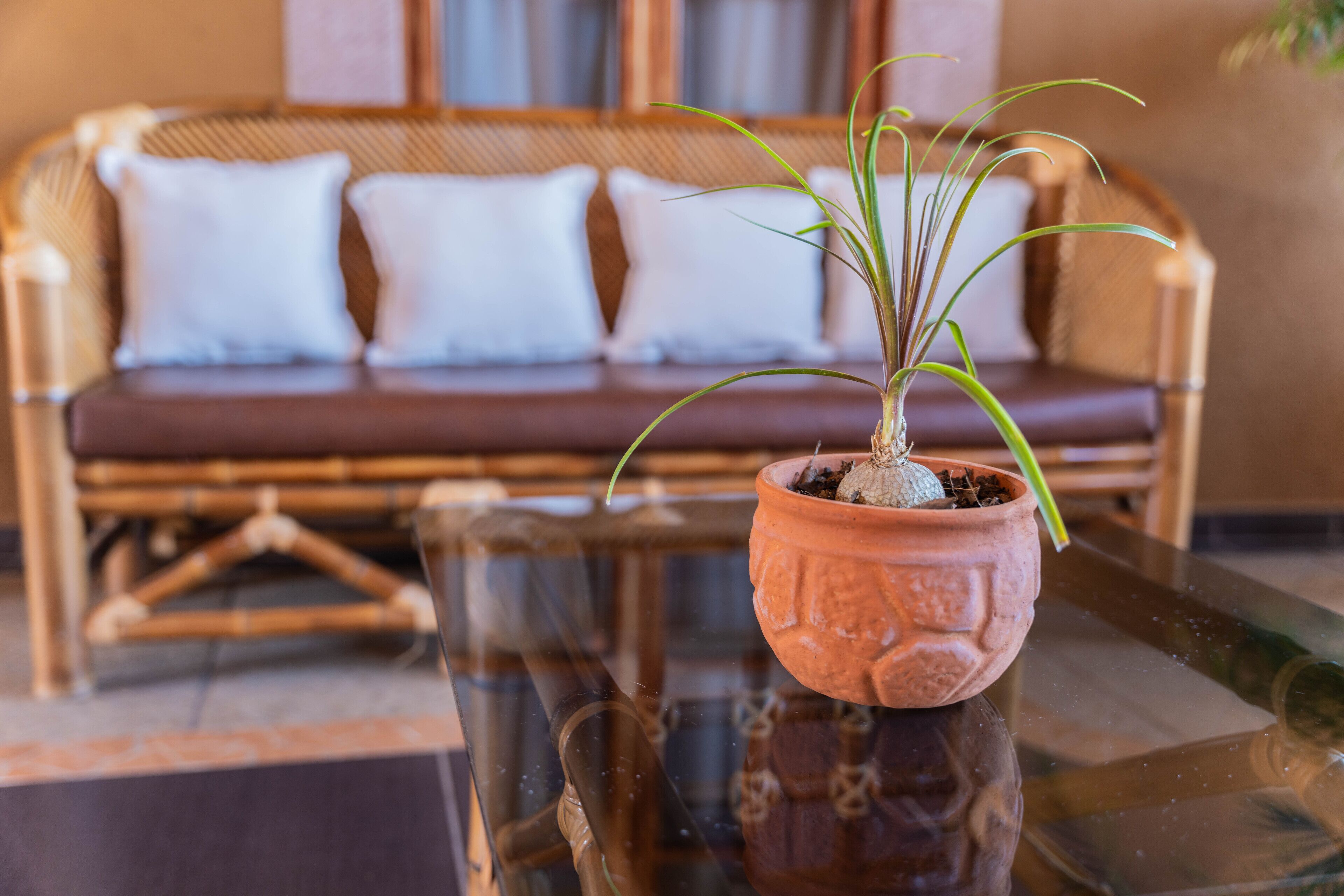 Casa Graciela Hotel Boutique