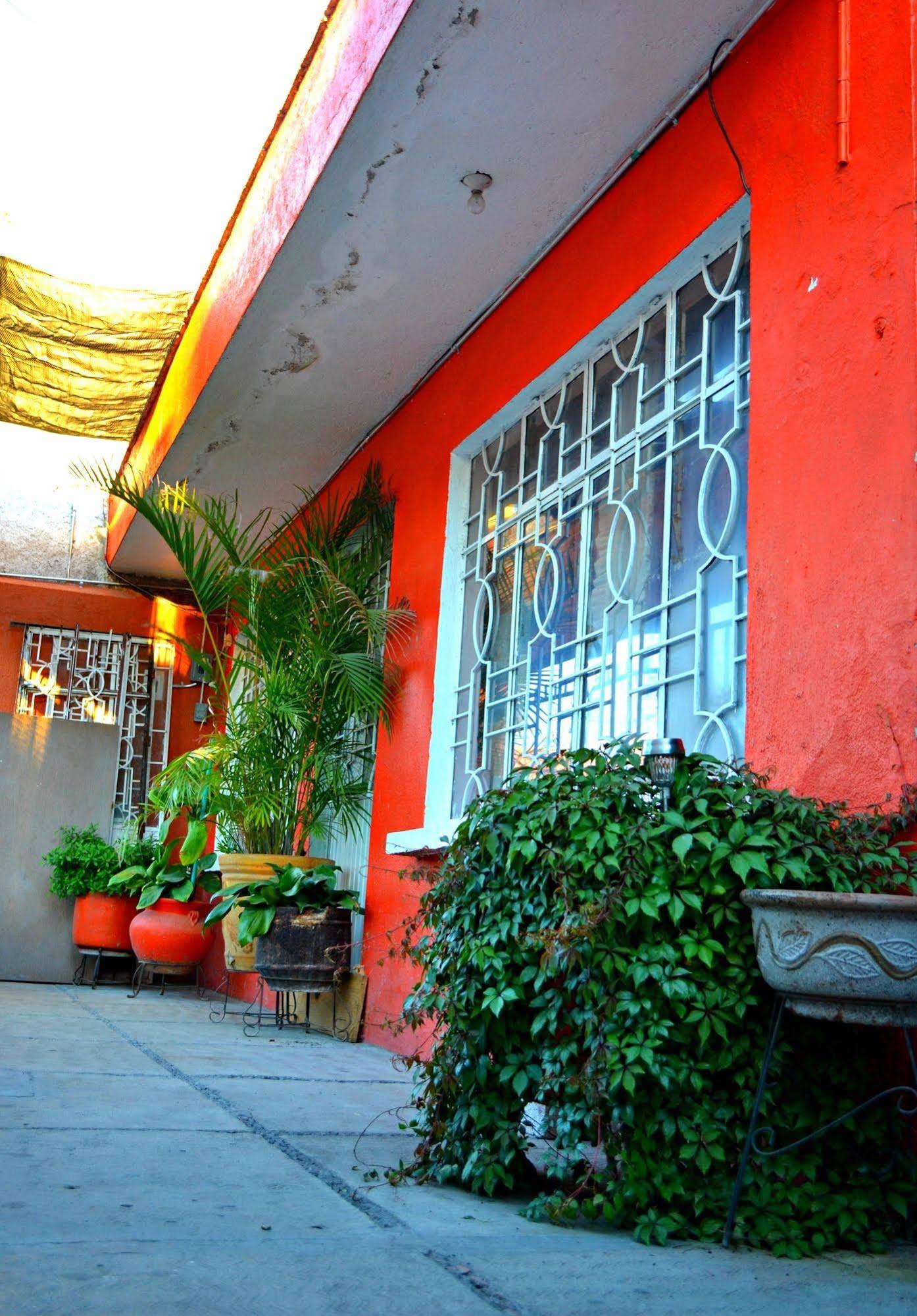 Hostal Maple