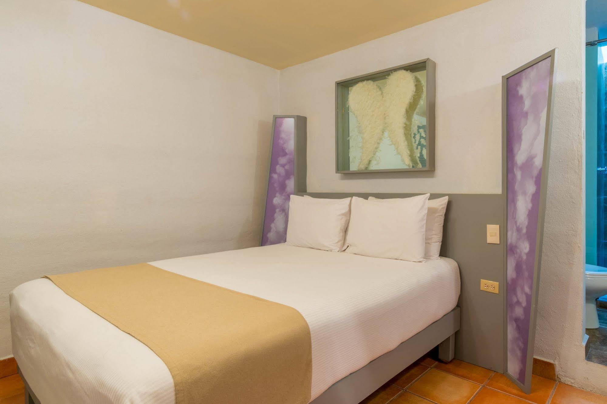 Hotel Damiana Boutique
