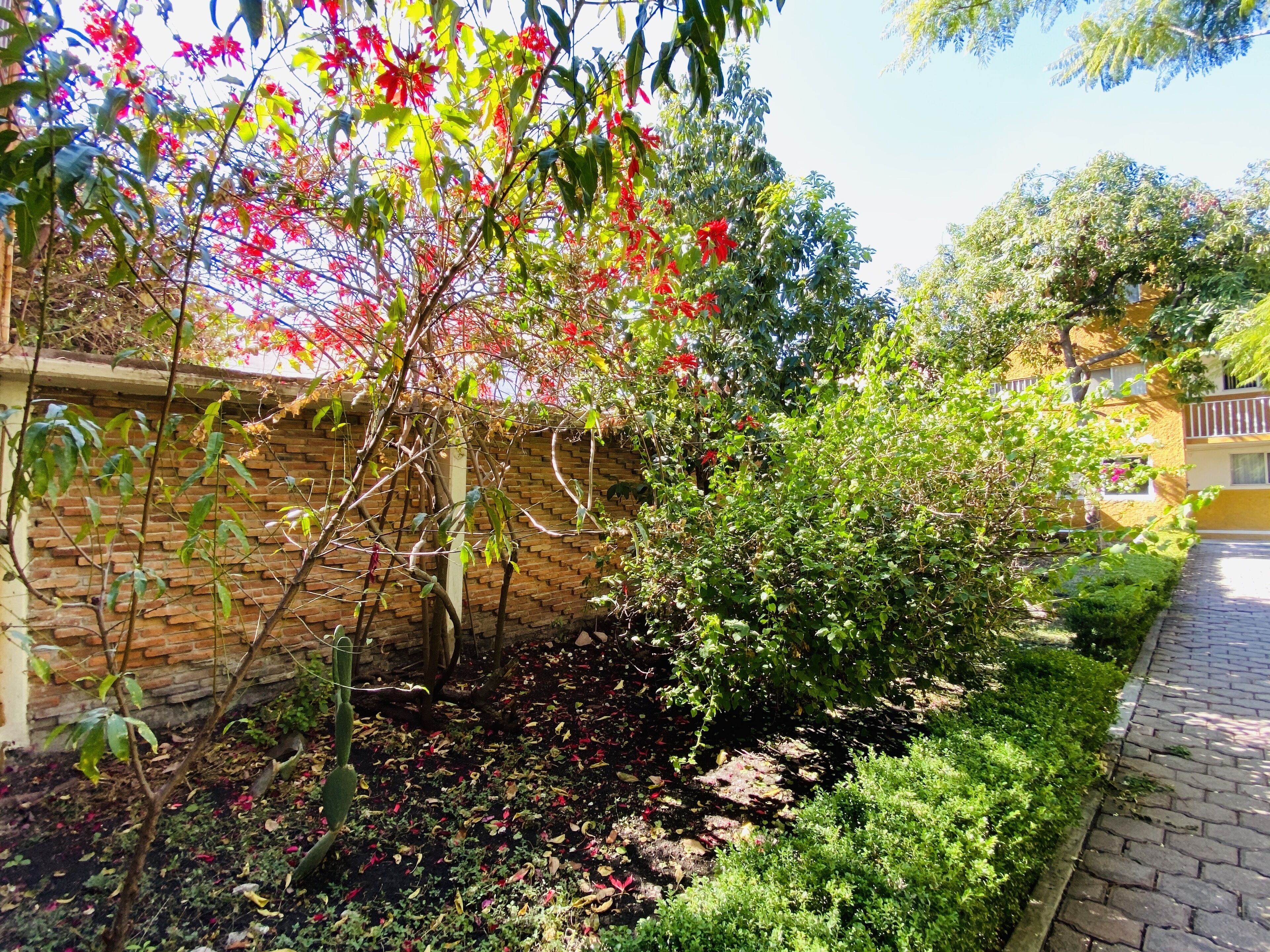 Rincon Unico Centrico