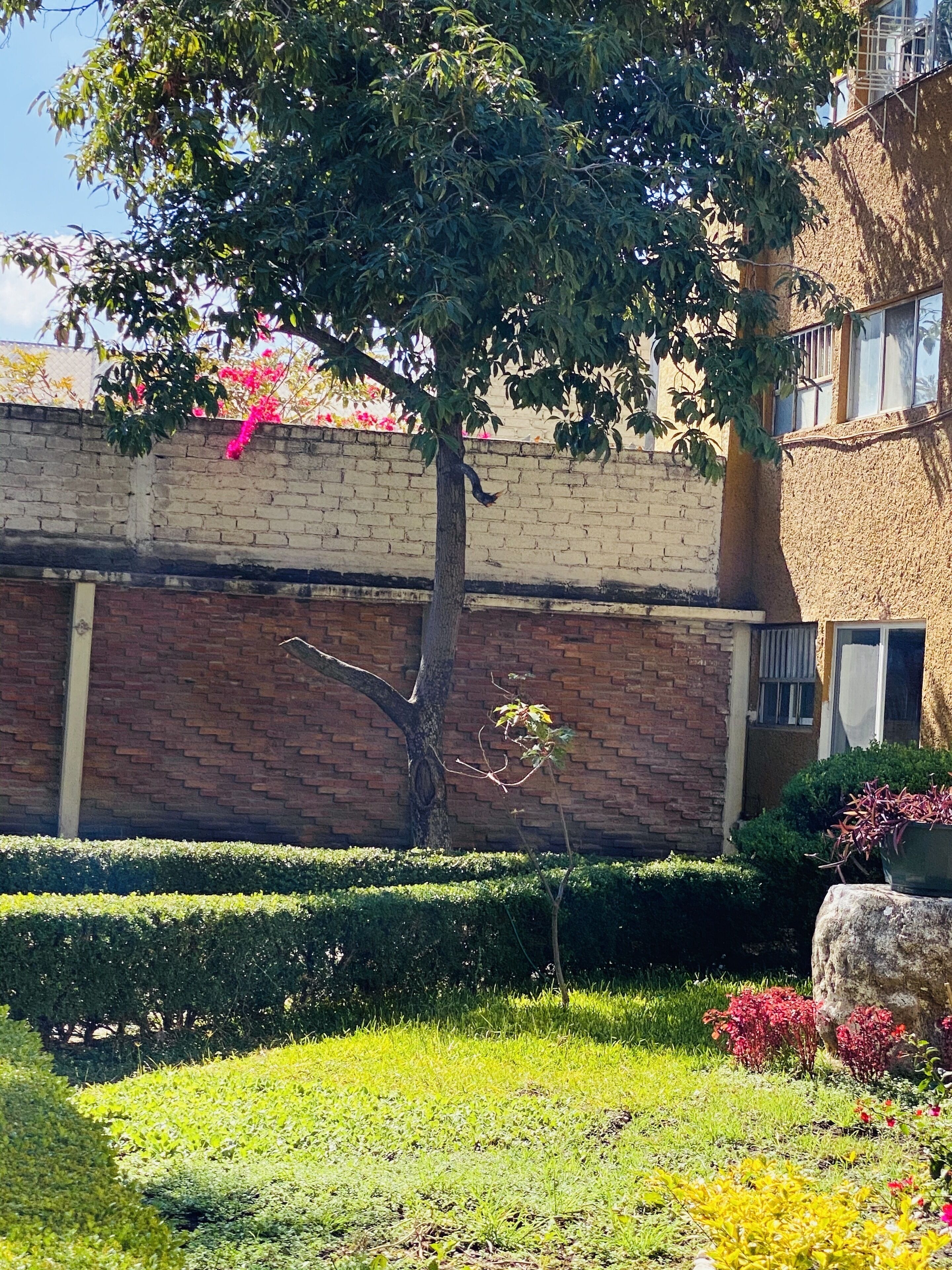 Rincon Unico Centrico