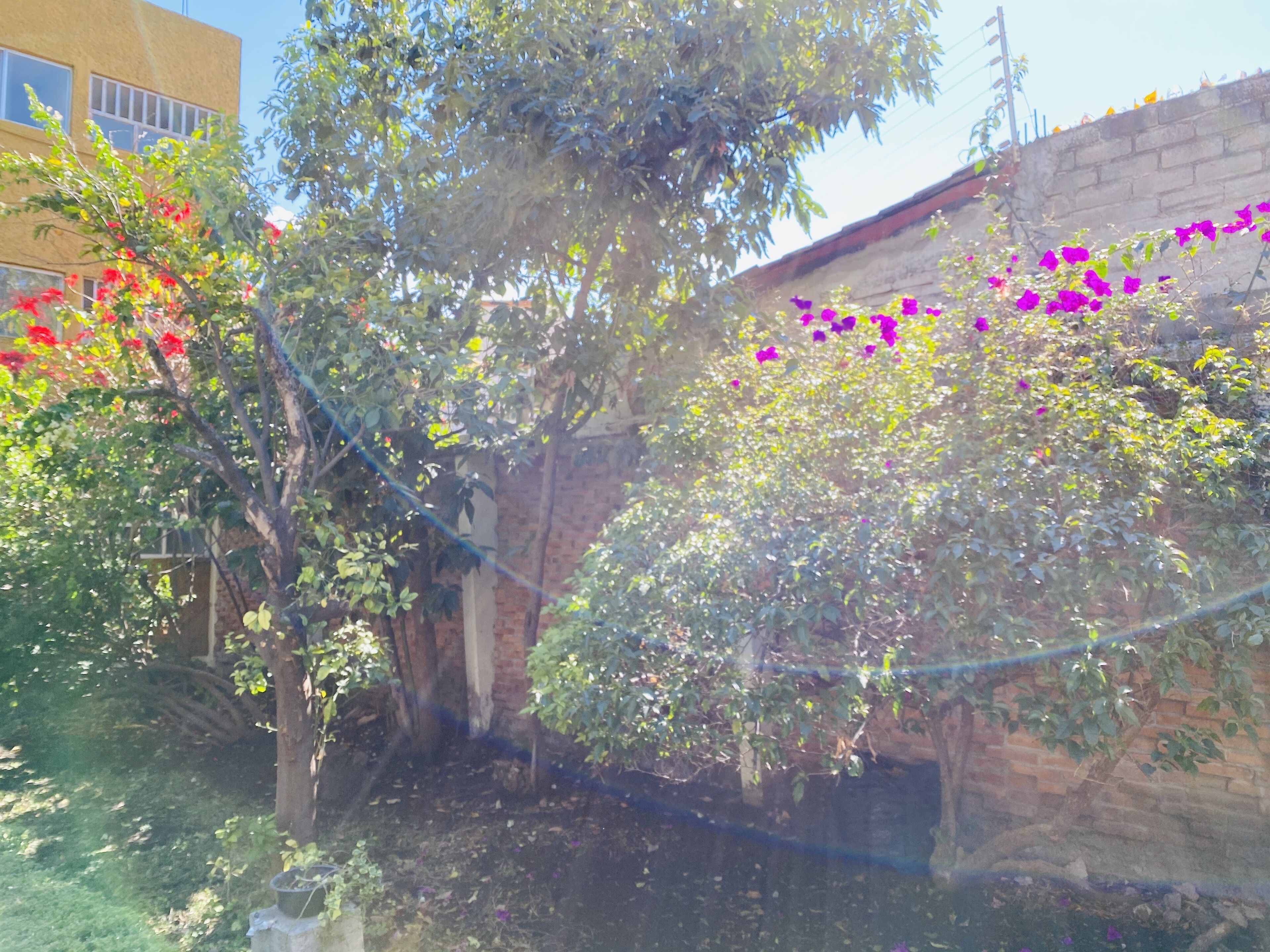 Rincon Unico Centrico