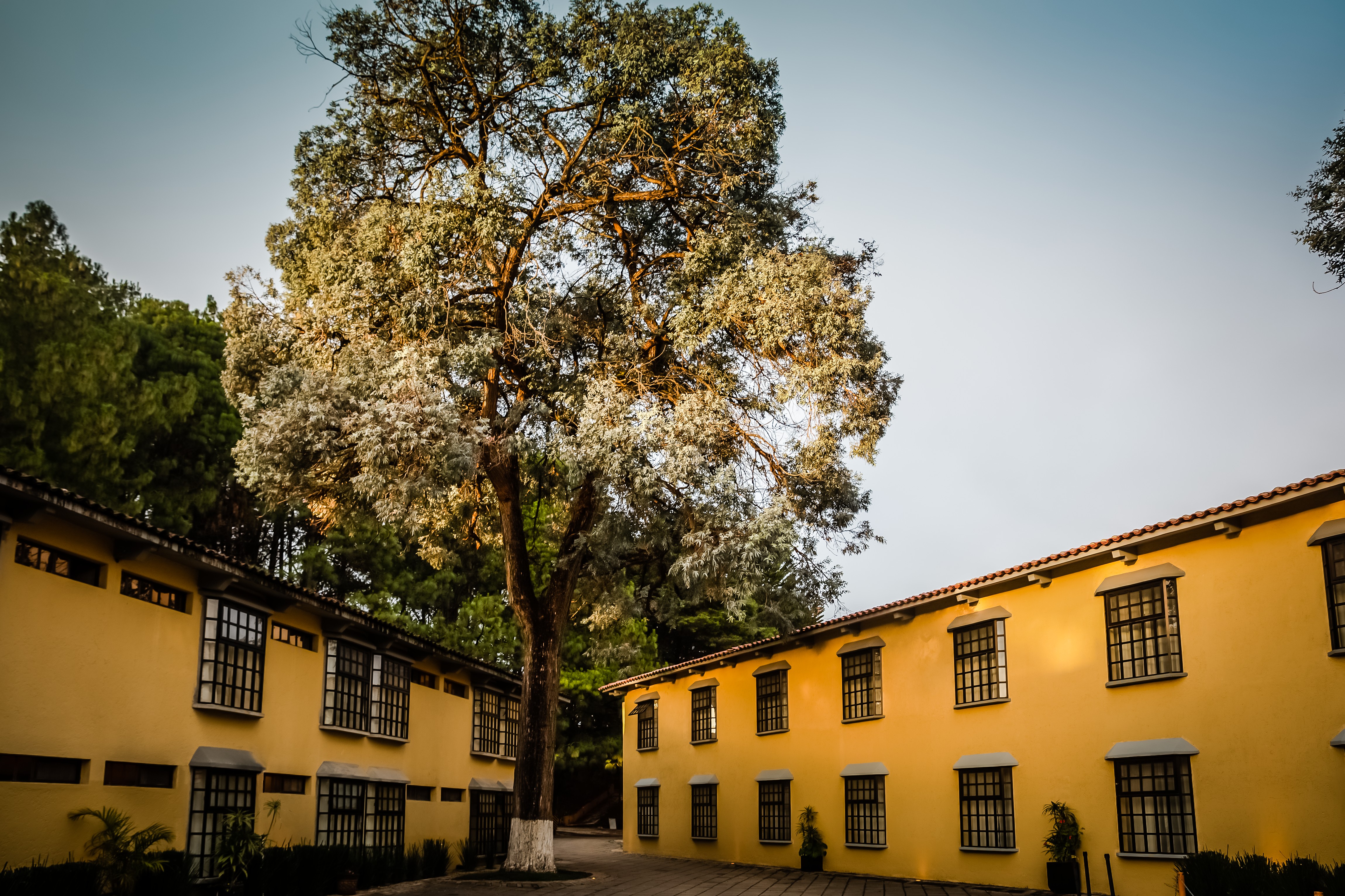 Hotel Rocaval San Cristobal De Las Casas