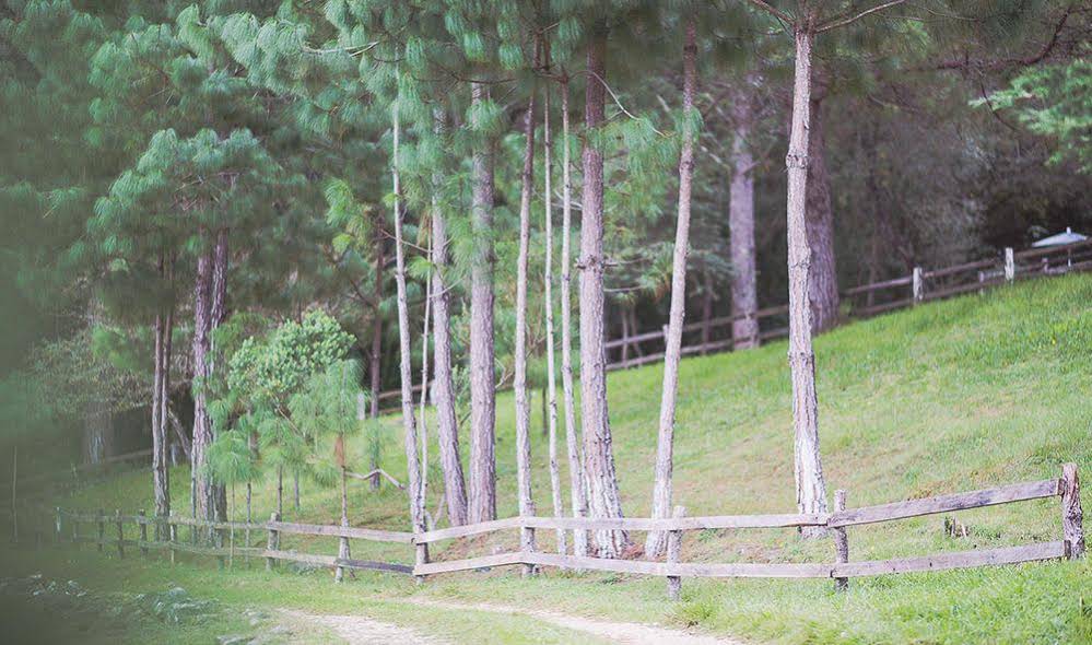 Hotel Molino de la Alborada