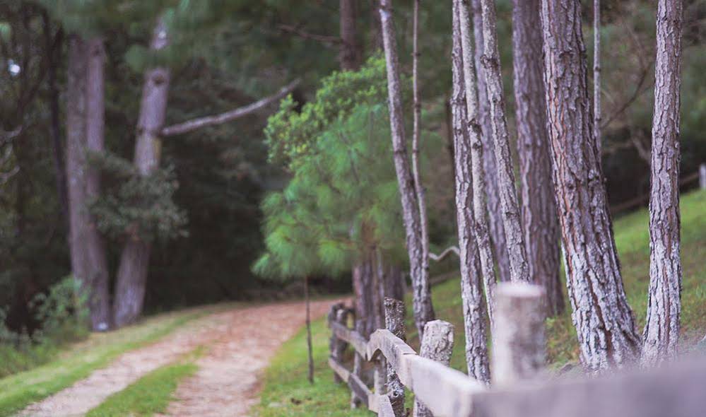 Hotel Molino de la Alborada