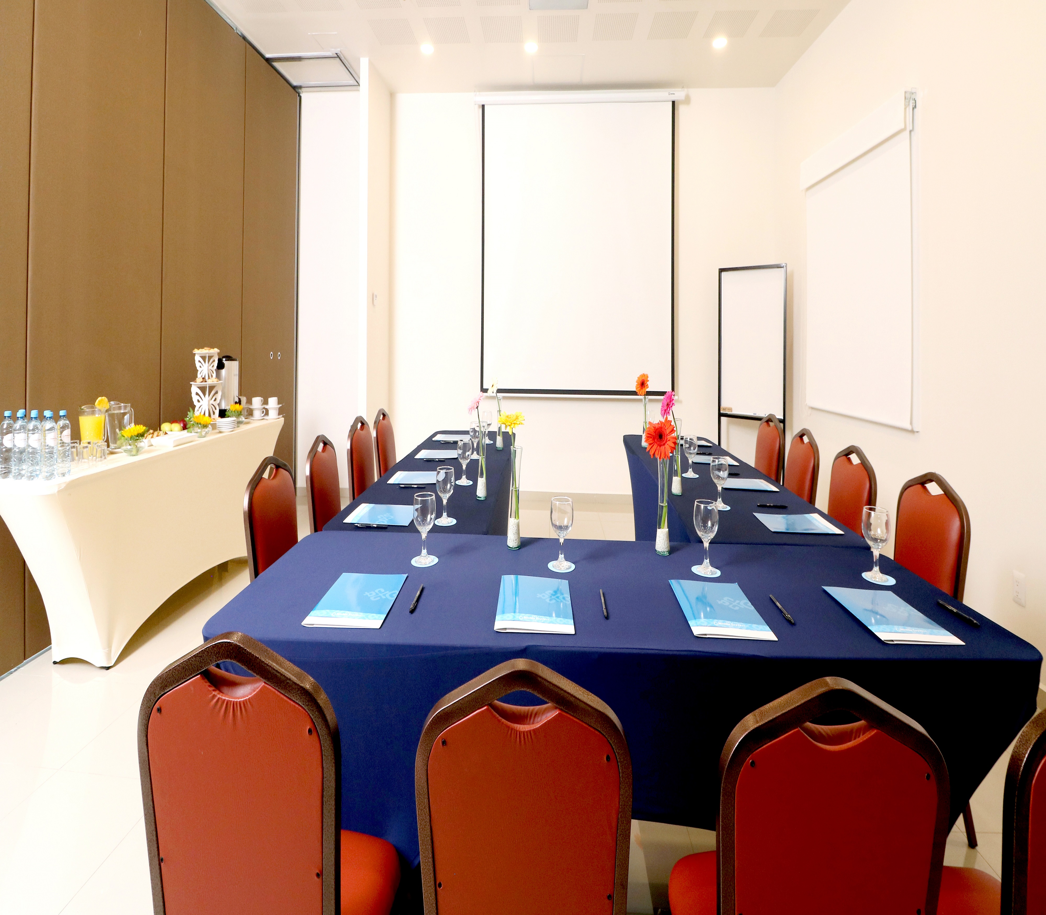 Mision Express San Juan Del Rio
