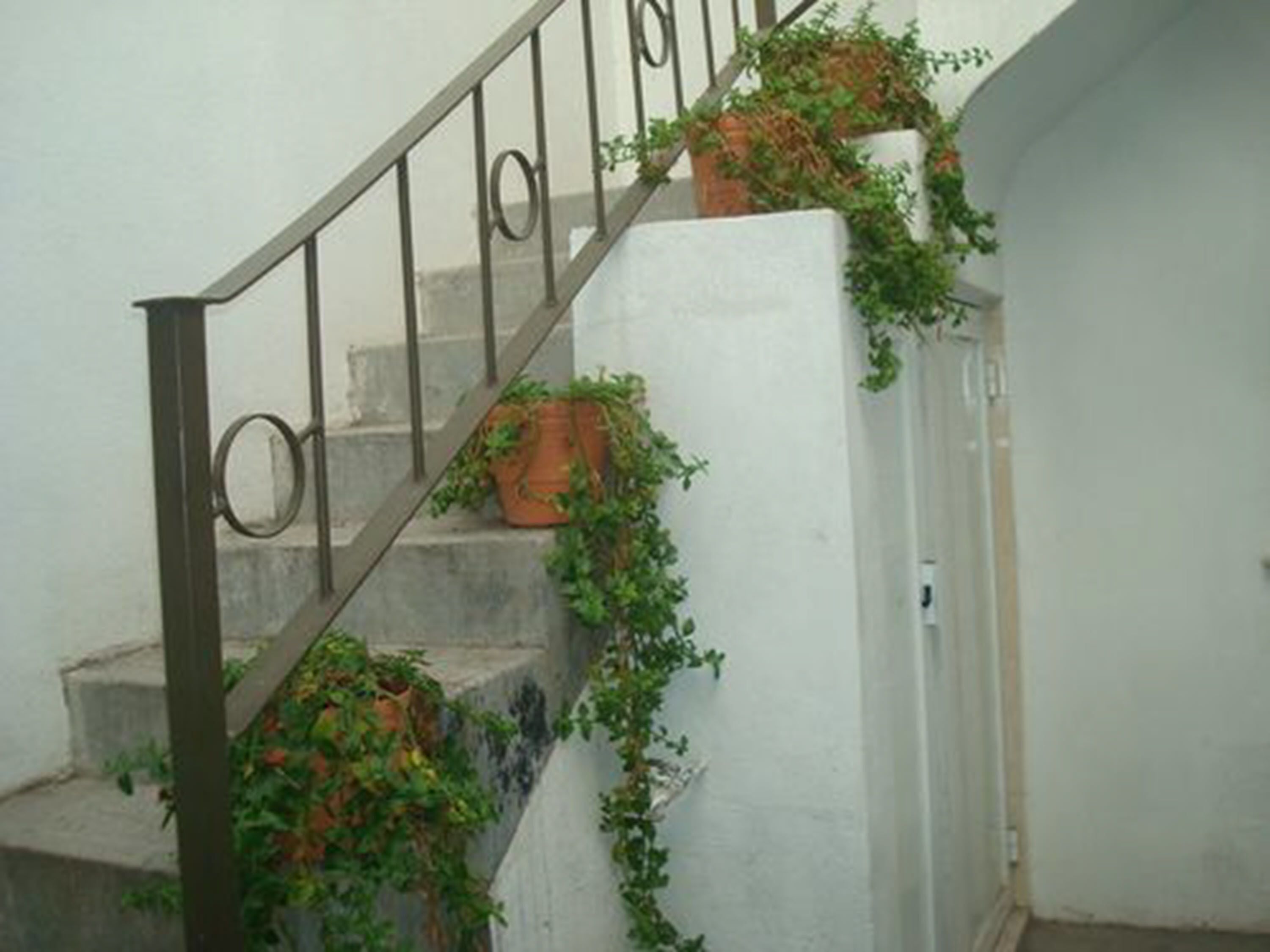 Casa Mariel