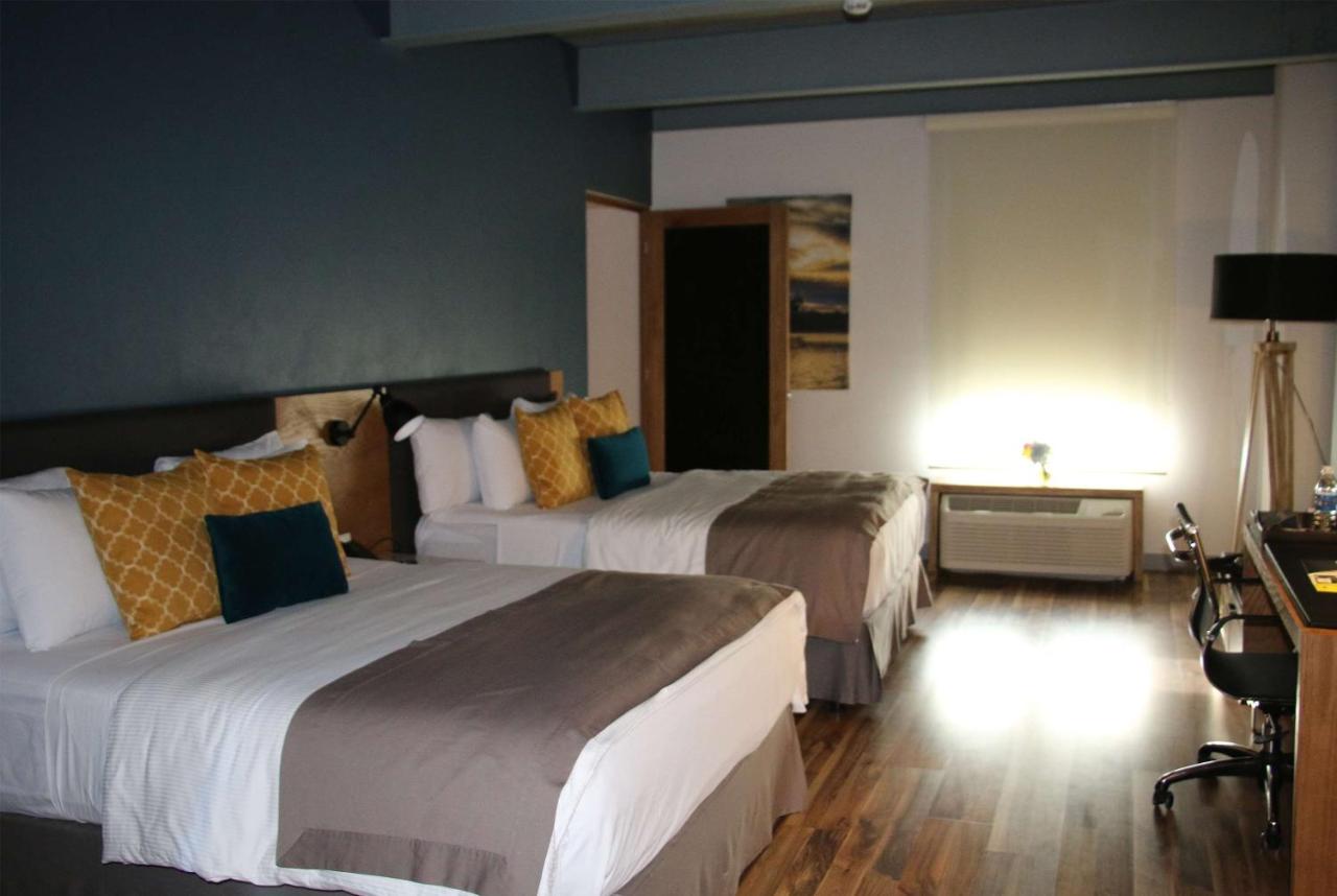 TRYP by Wyndham San Luis Potosi