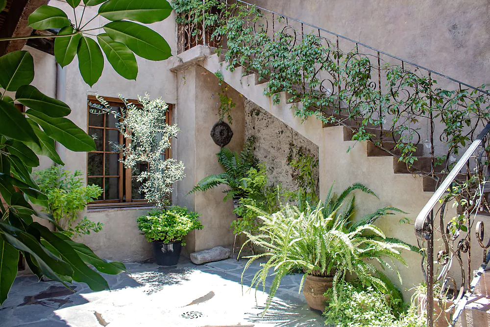 Carlotta Hotel Boutique