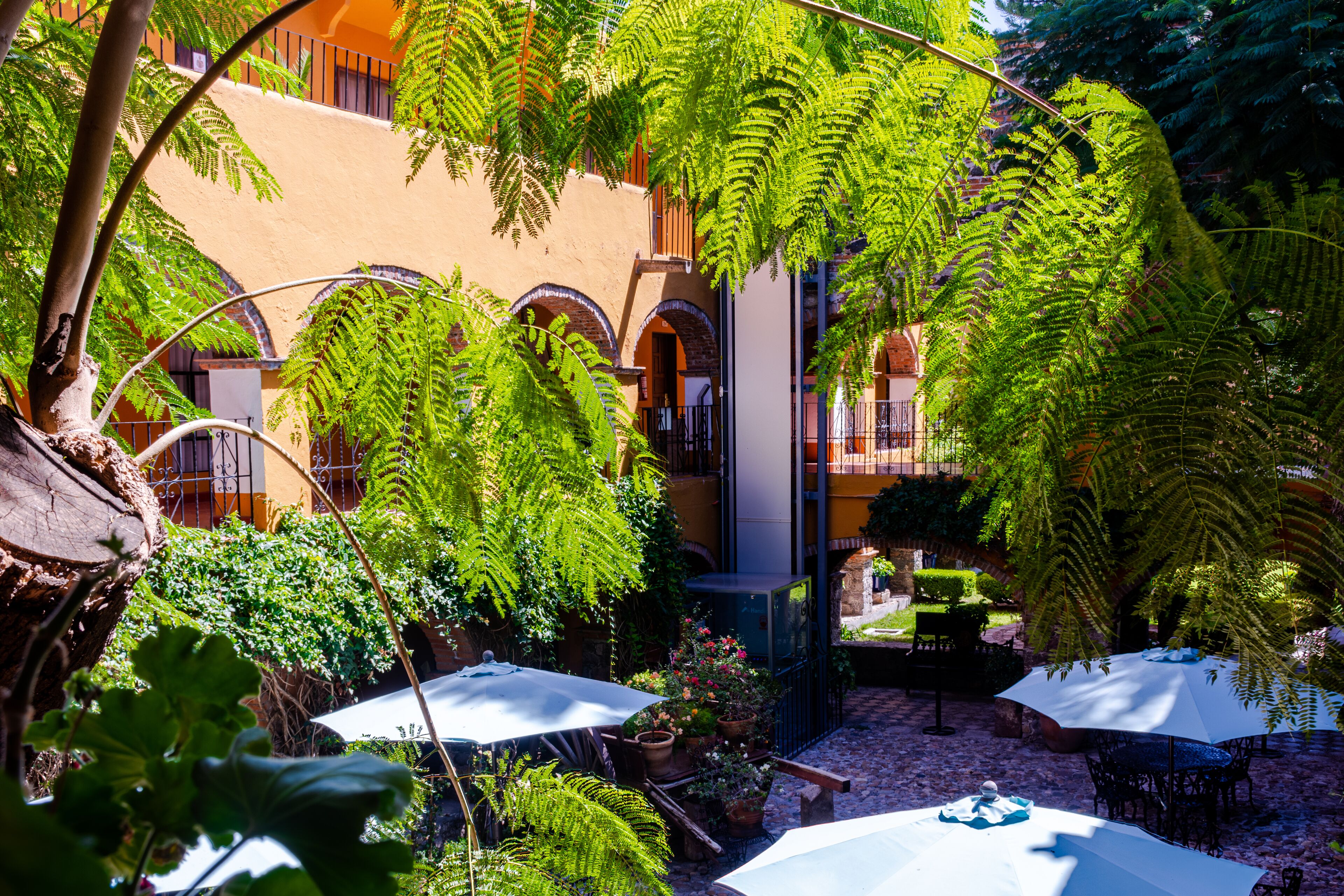 Hotel Hacienda Monteverde