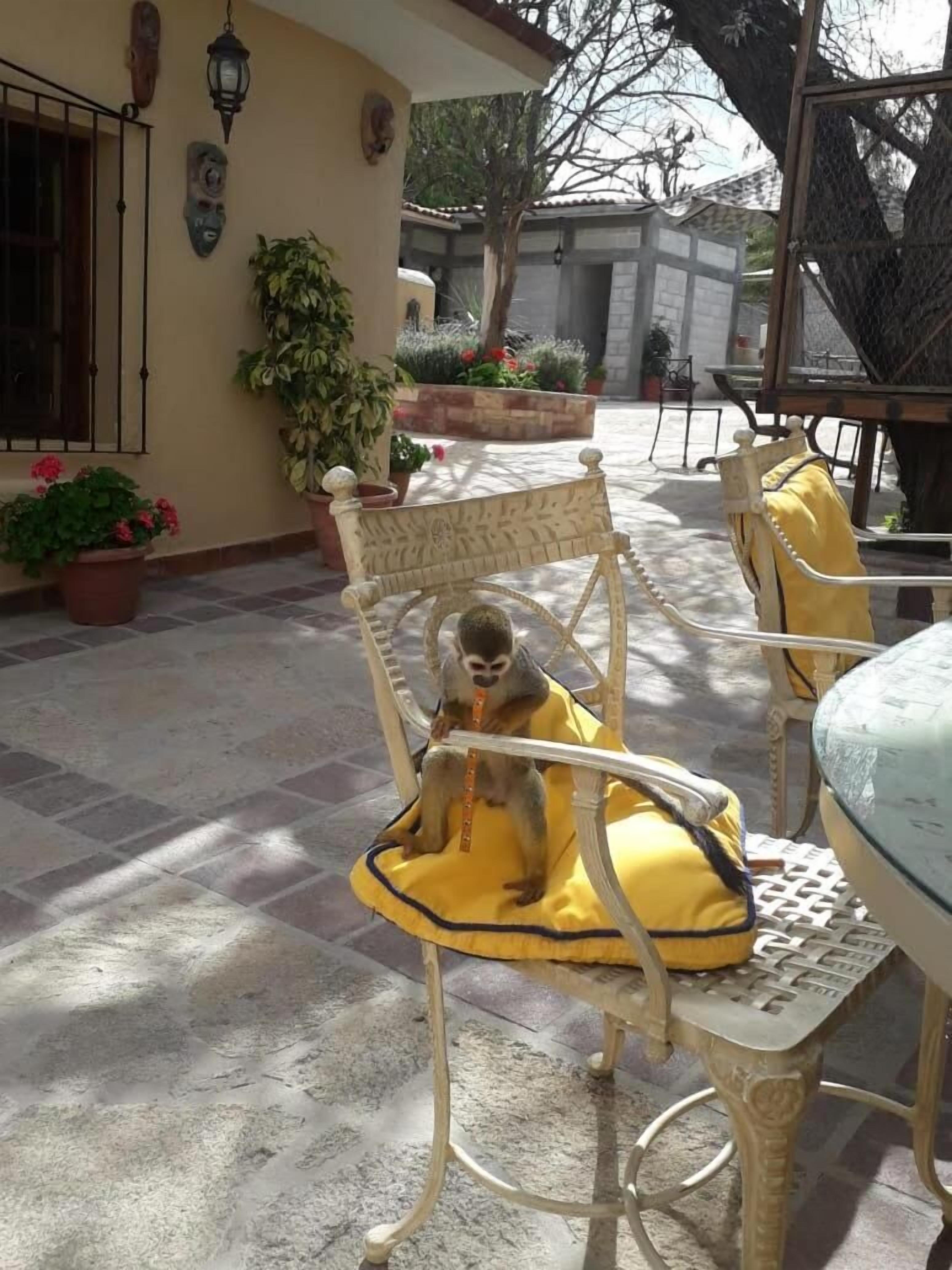 Posada Casa Reyna By Rotamundos