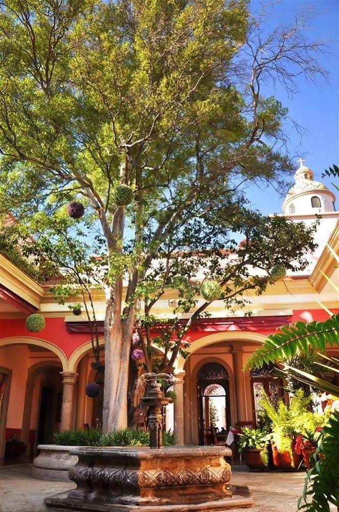 Gran Casa Sayula Galeria & SPA