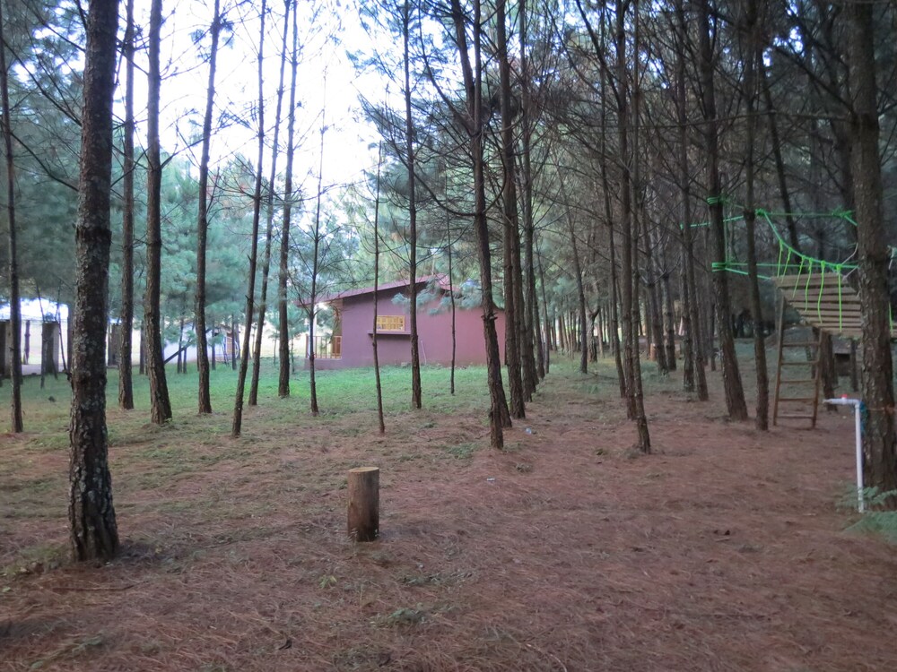 Vina Real Cabanas Rotamundos