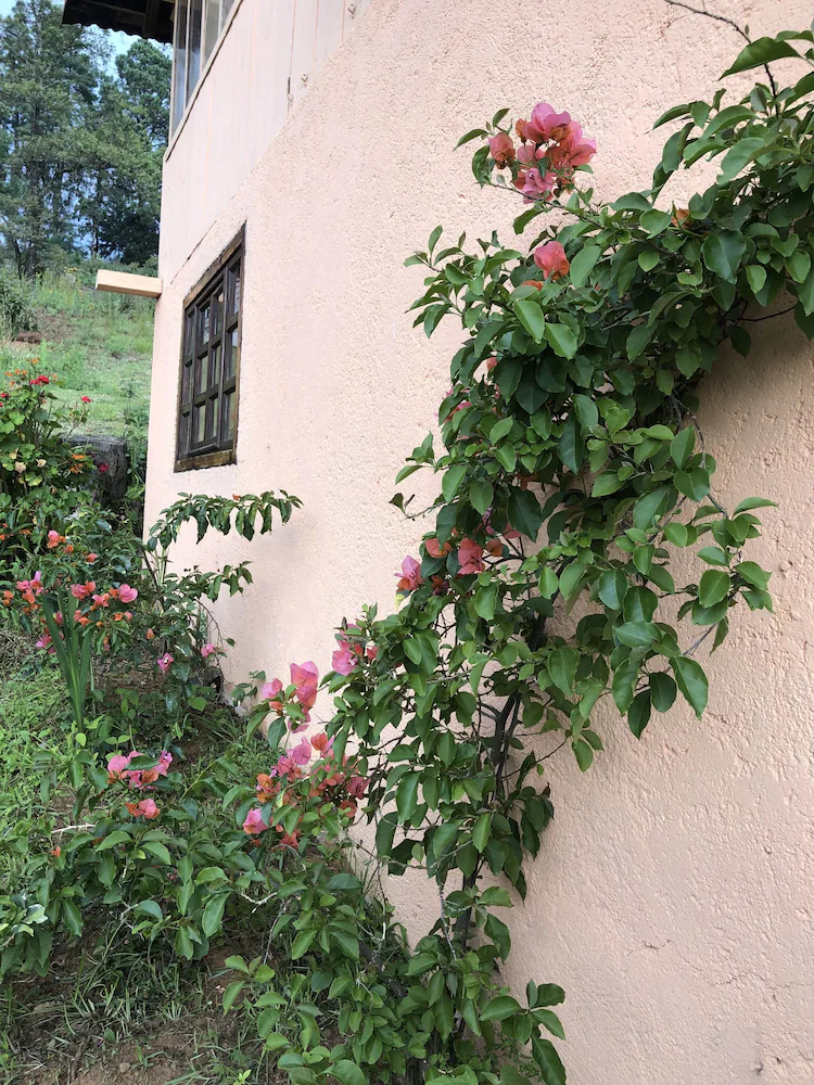 Vina Real Cabanas Rotamundos