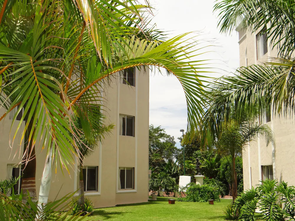 Las Palomas Tepic Express