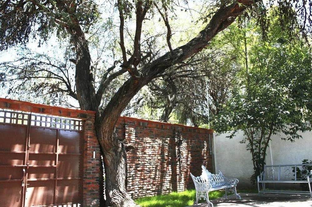 El Rincon Del Mezquite