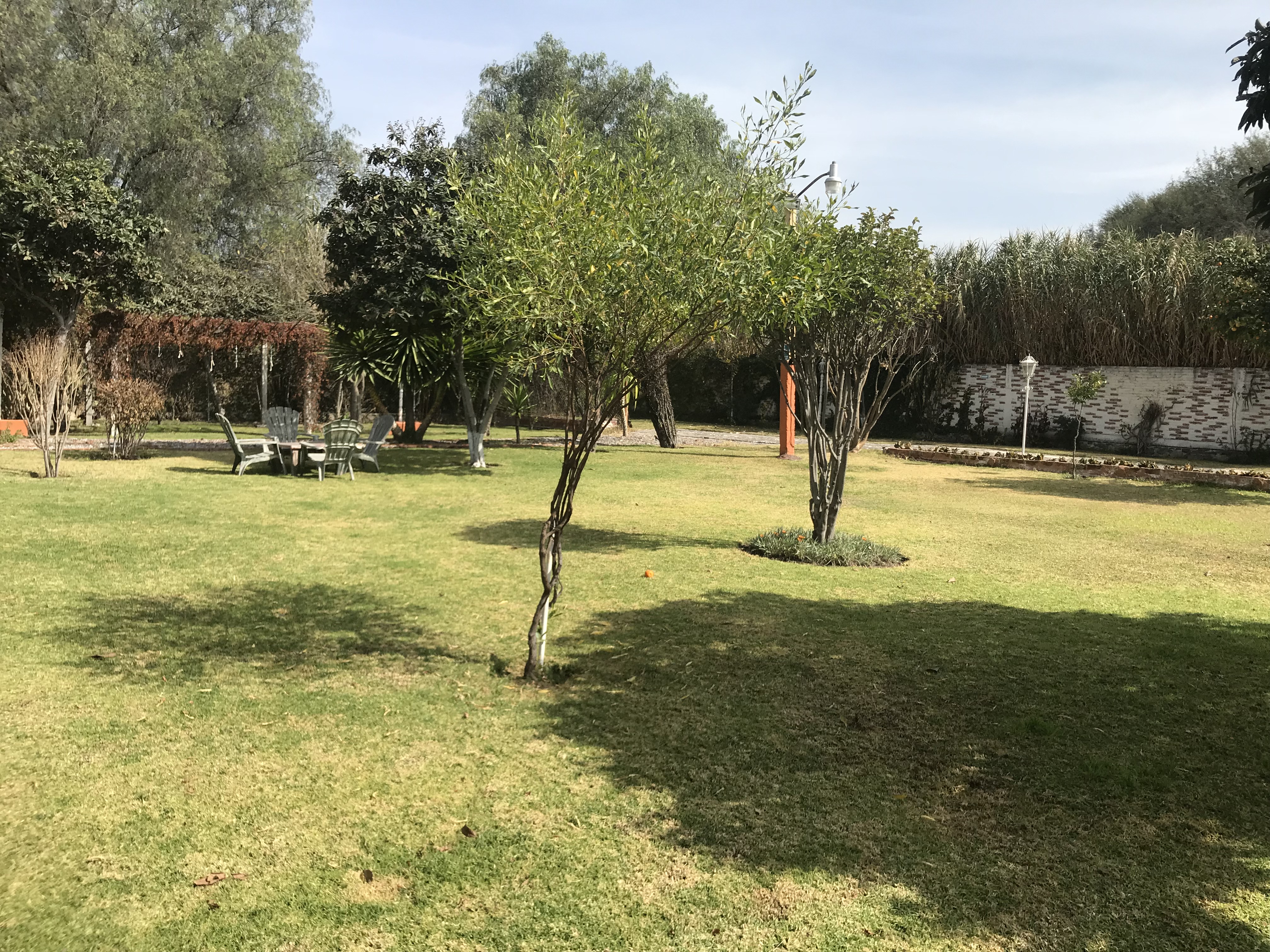 La Esperanza
