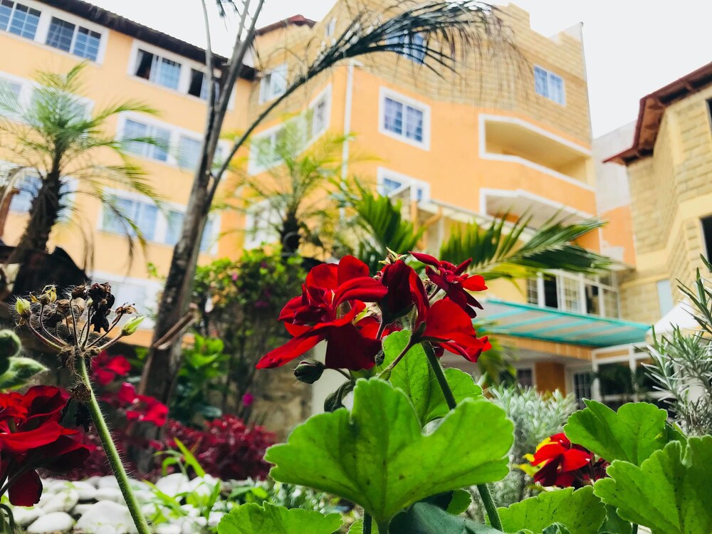 Hotel Suites Tlatlauquitepec