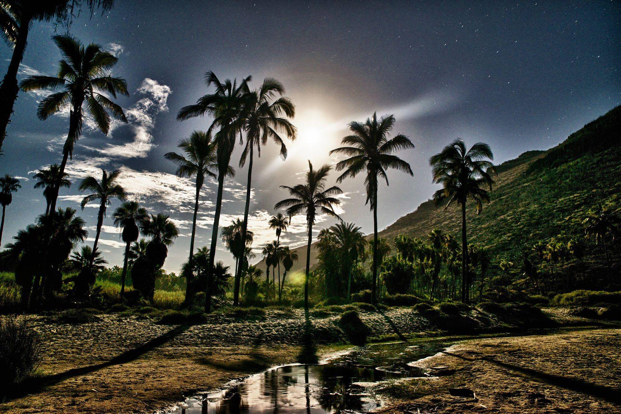 Hacienda Todos Los Santos