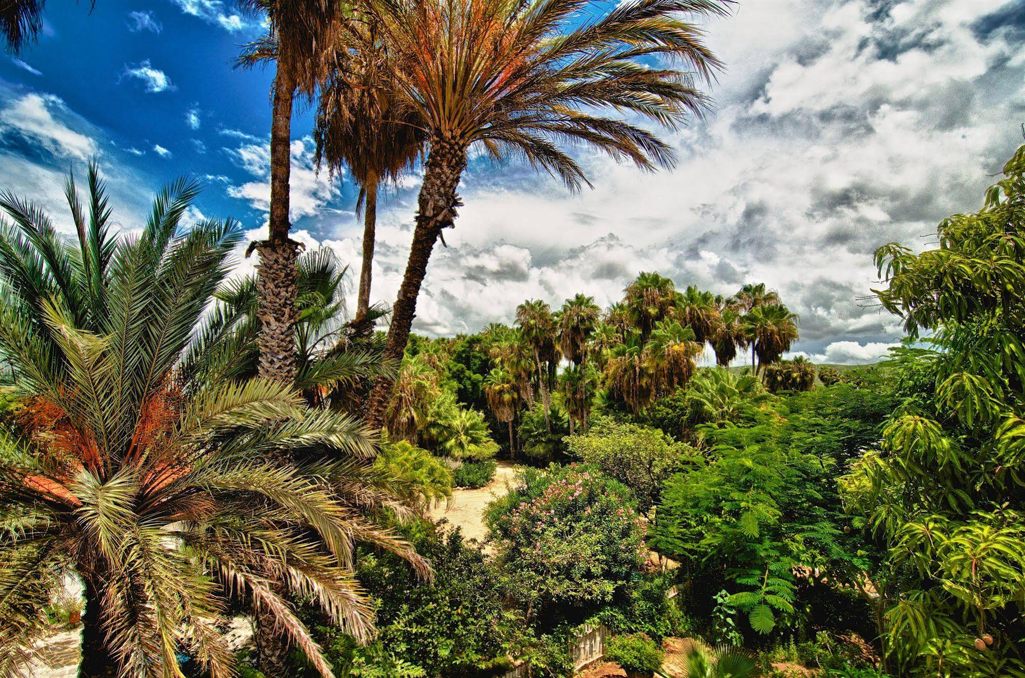 Hacienda Todos Los Santos