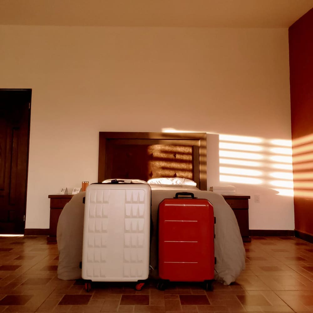 Departamentos Bonsai