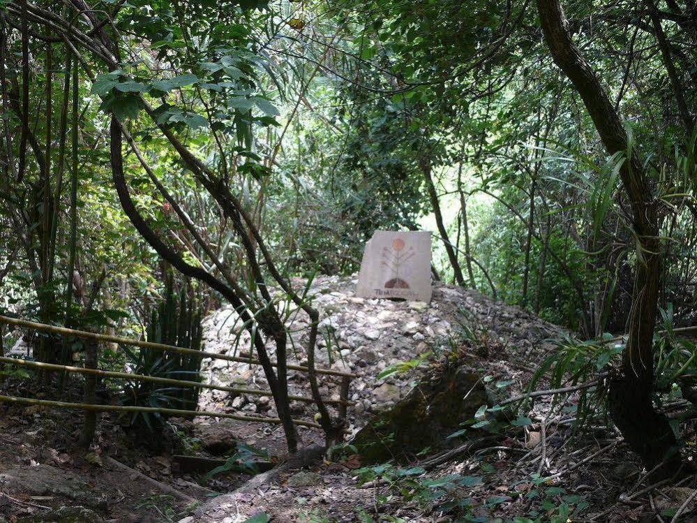 Canto del Agua Ecolodge