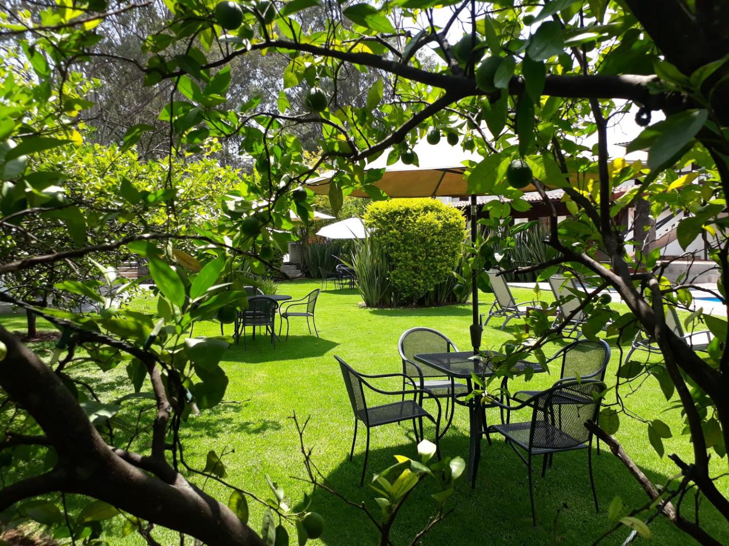 Hotel El Arco
