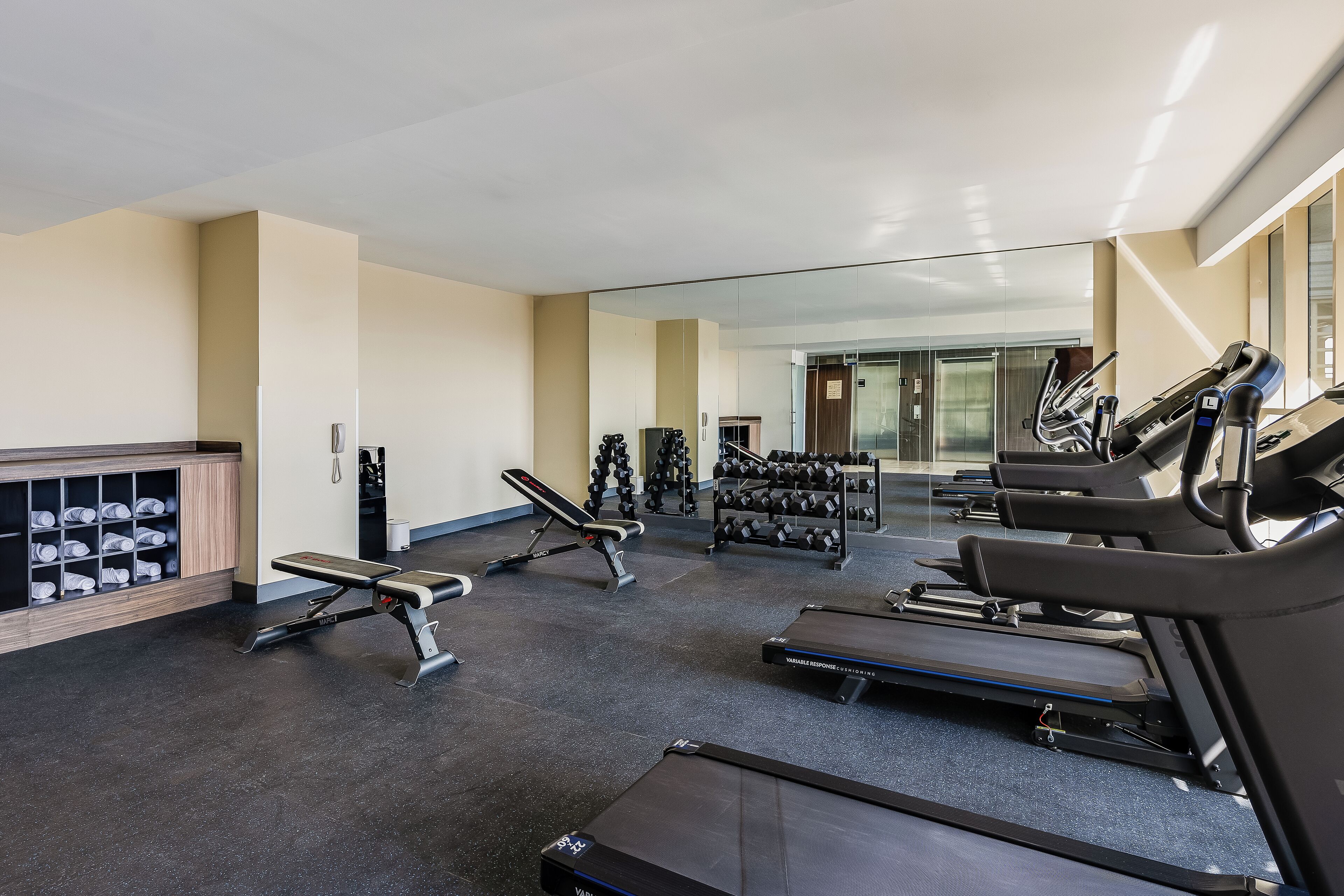 Gamma Toluca Oriente