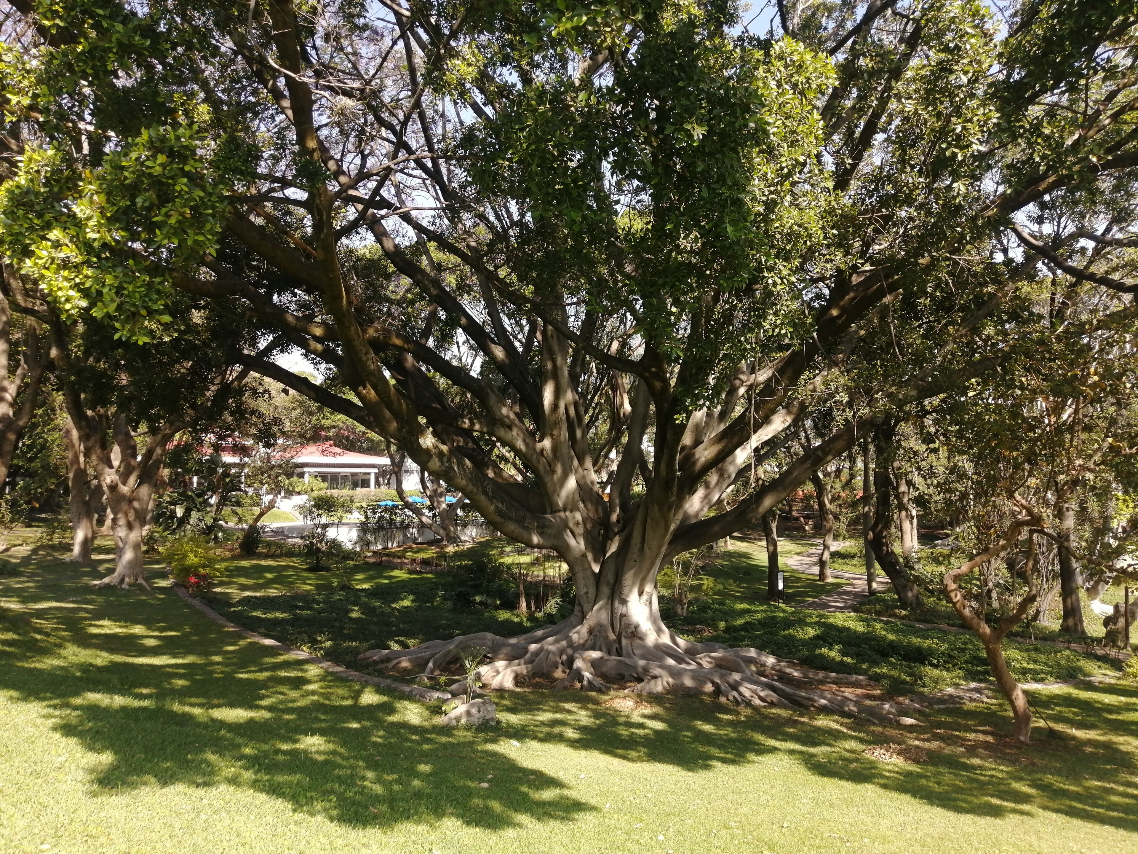 Grand Fiesta Americana Sumiya Cuernavaca