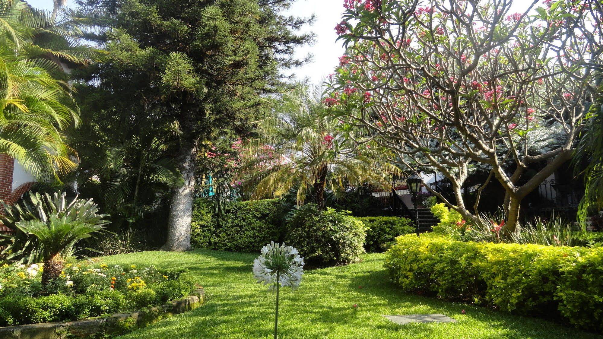 Hotel Vista Hermosa