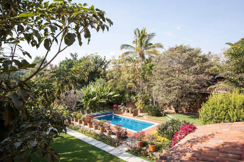 Orchidelirium Casa Hotel & Salud Estética