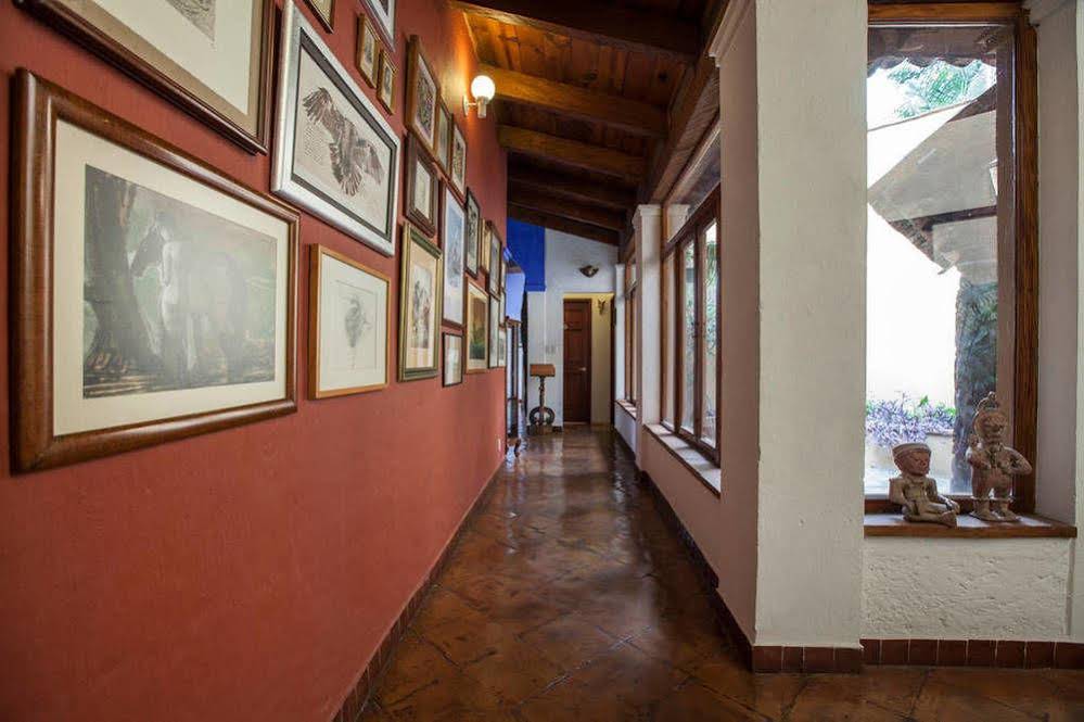 Orchidelirium Casa Hotel & Salud Estética