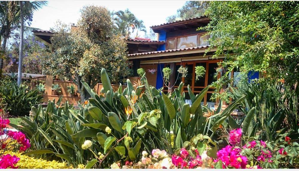 Orchidelirium Casa Hotel & Salud Estética