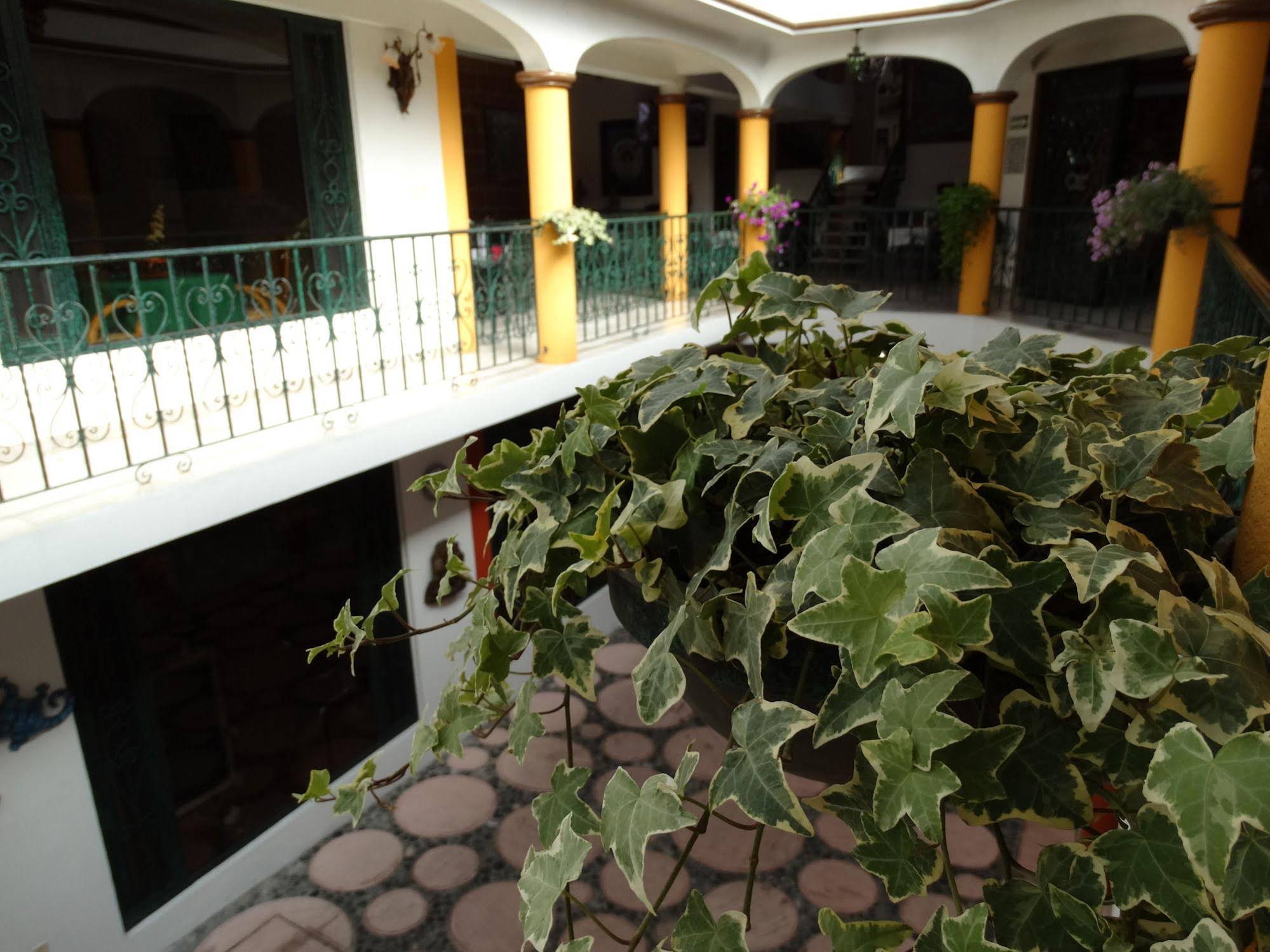 Paraiso Hotel Garden and Spa