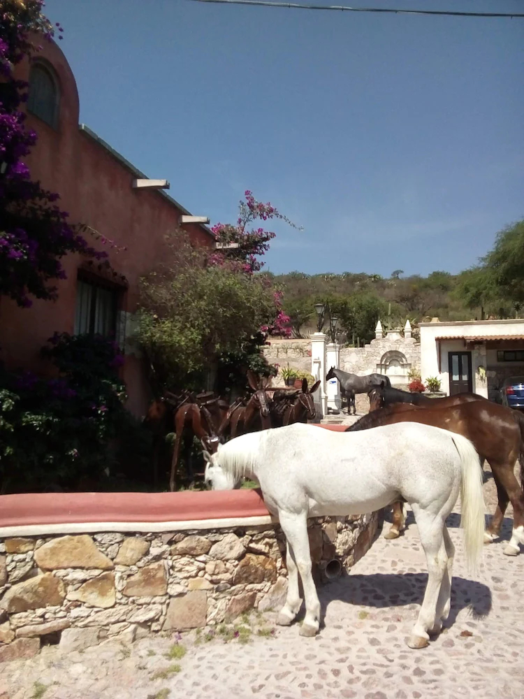 Hotel Centenario Los Arroyitos