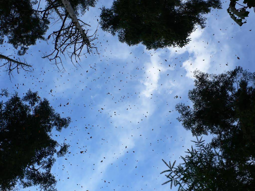 Hotel Rancho San Cayetano