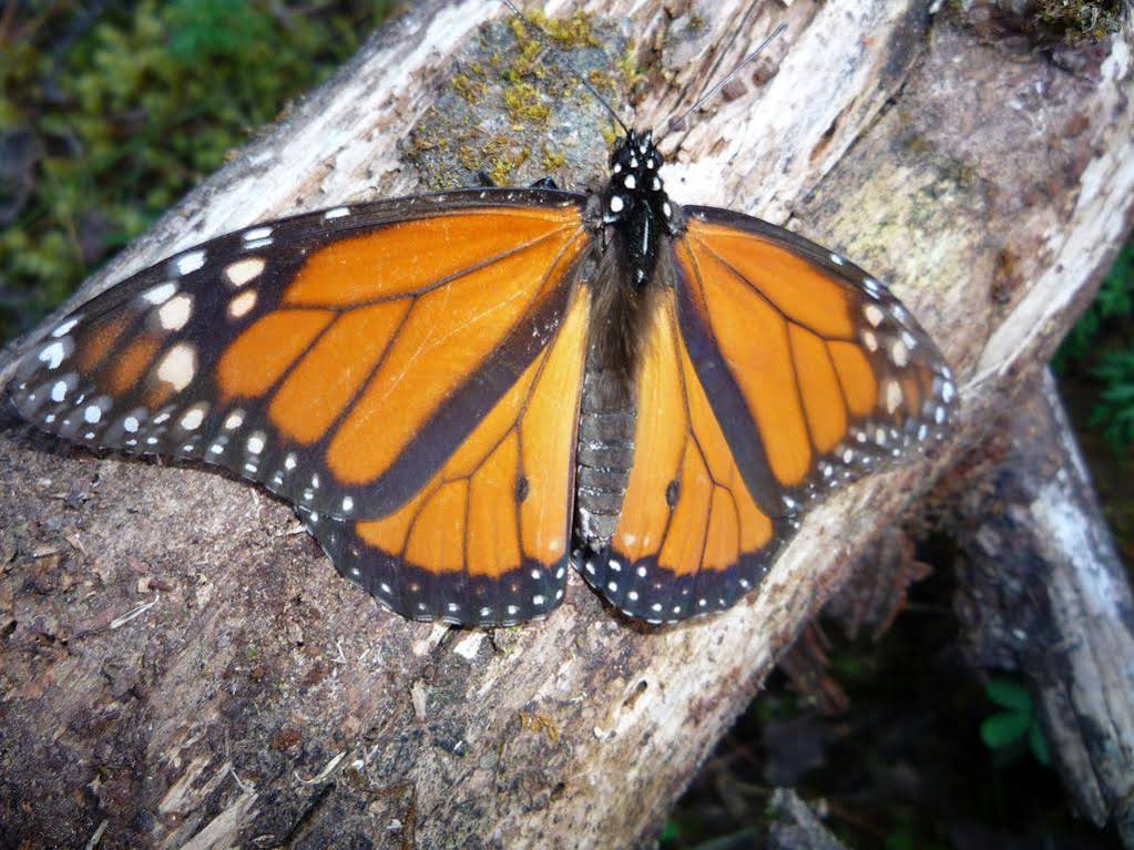 Hotel Rancho San Cayetano