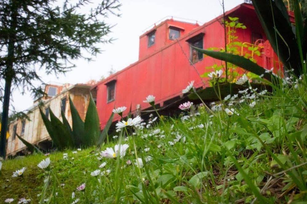 Los Vagones Cabanas Restaurante Bar