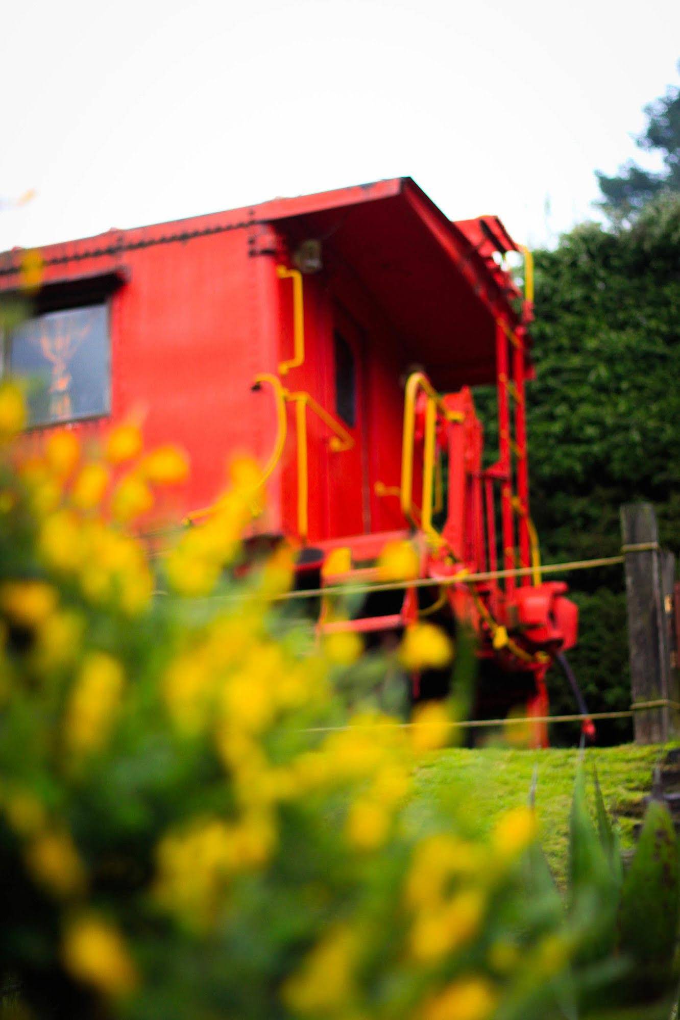 Los Vagones Cabanas Restaurante Bar