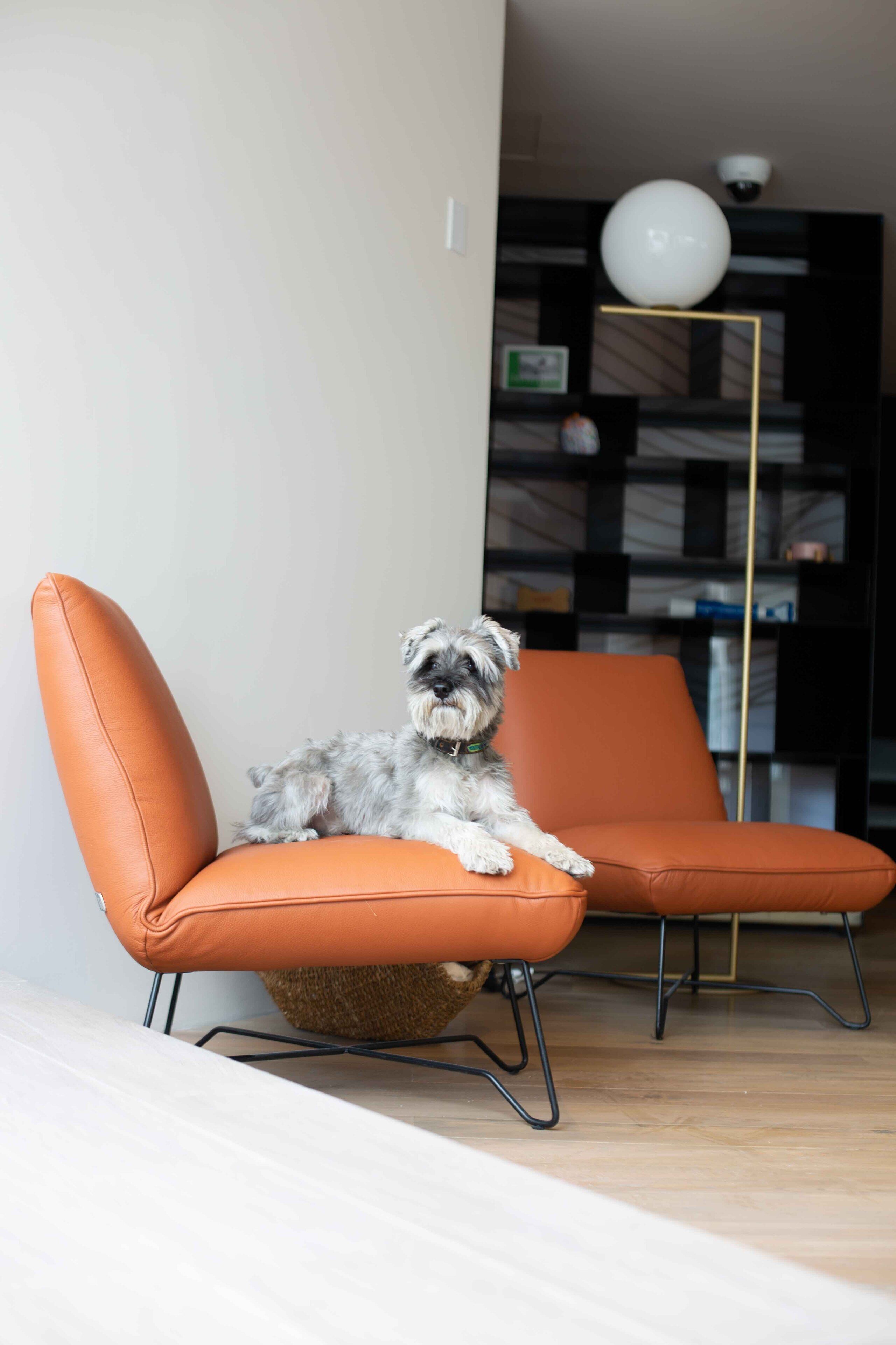 Andaz Mexico City Condesa