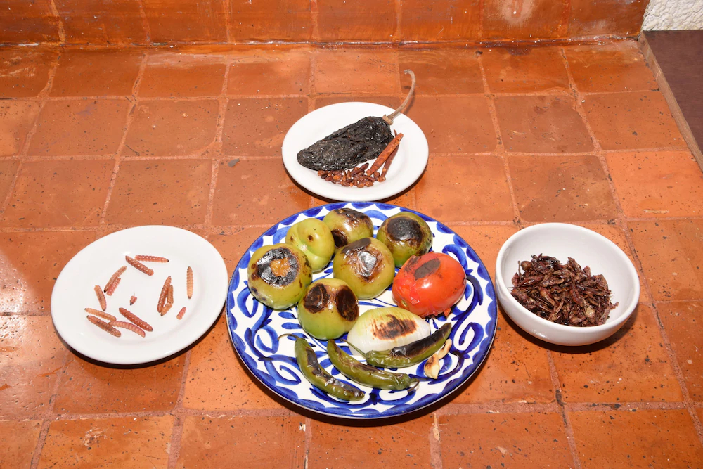 Casa Coyoacan