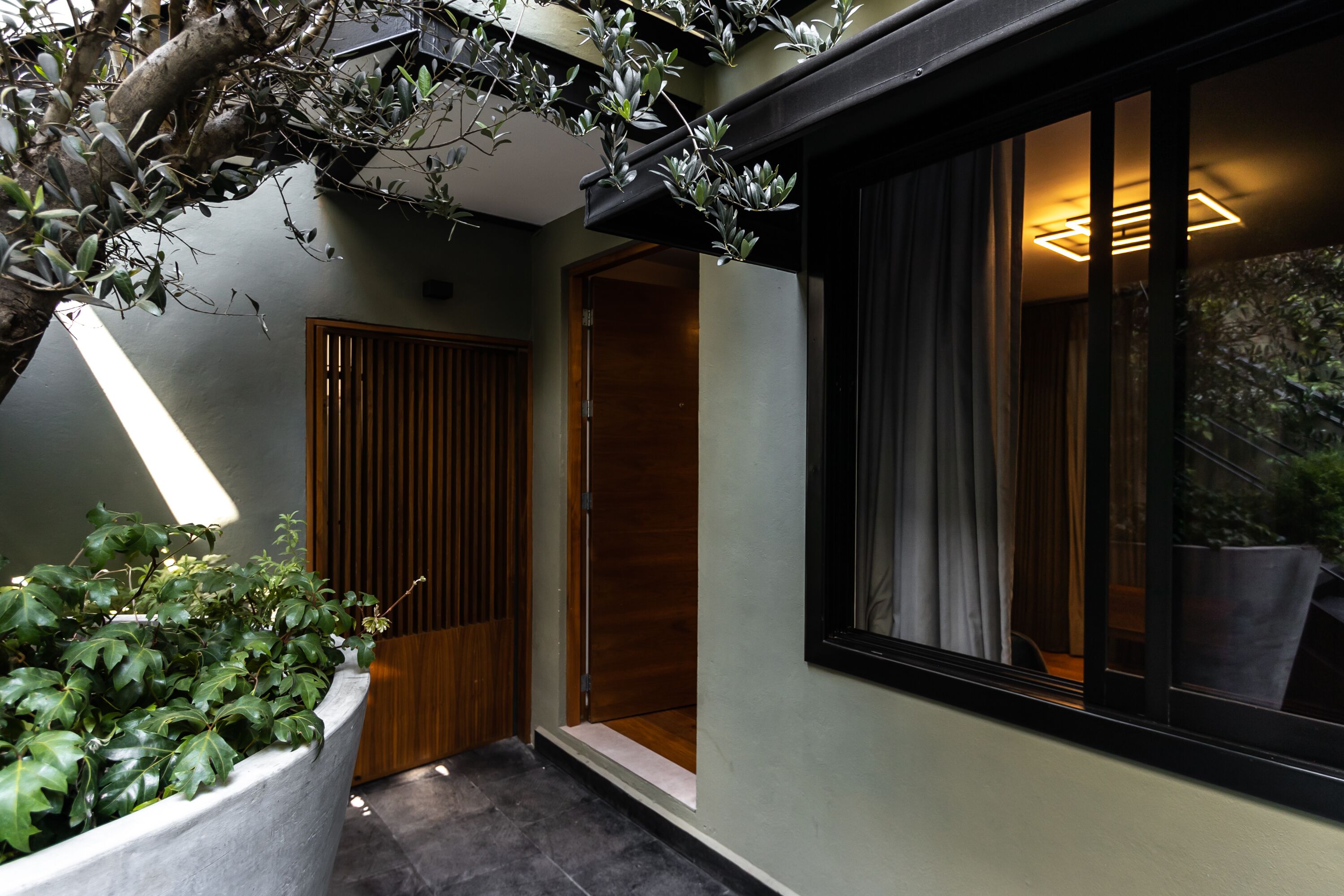 Casa Hedera